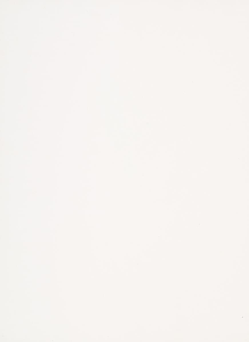 Pure White