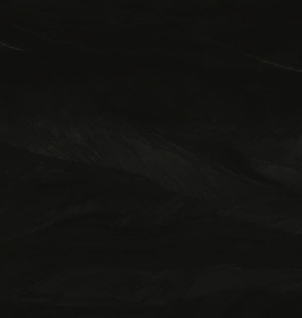 Black Eclipse