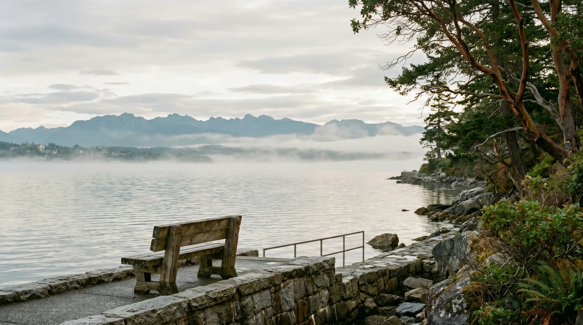 The James Bay Victoria coastline at soft early-morning light with low coastal sea mist drifting over the water and the distant Olympic Mountains across the strait — the mild coastal moisture Distinctive Form designs Victoria installations to handle